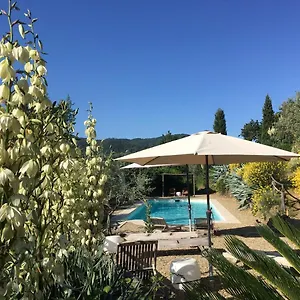 Ventena Vecchia Antico Frantoio Apartment Montevarchi
